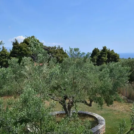 Kladi Hébergement de vacances Nikiti (Sithonia)