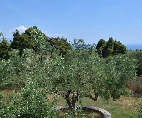 Kladi Tatil Evi Nikiti (Sithonia)